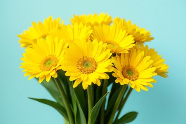 शुभकामनाओं के फूल